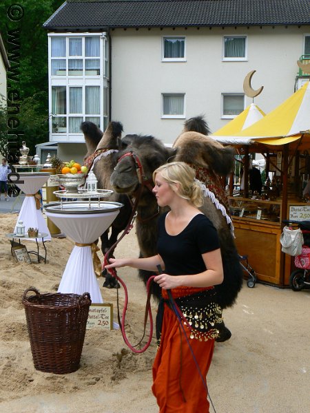 Mittelaltermark_Altena_2011 (178).jpg